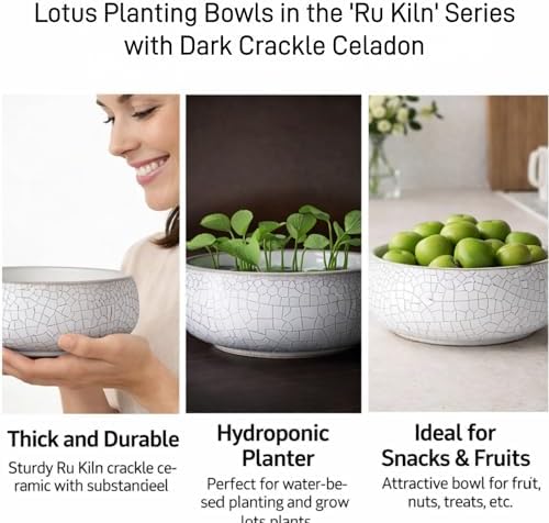 Lotus Bowl Planter 2 Pack, 7.5in & 6.5in, Shallow Vase