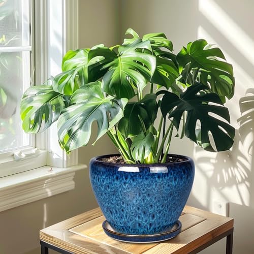 Ceramicfor 10 Inch Ceramic Planter Pot, Ceramic Plant Pot for Indoor Outdoor Plants, Large Flower Pot with Drainage Hole and Saucer, Blue
