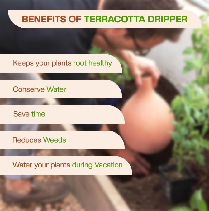 Village Decor Terracotta Water Dripper/Self Watering Terracotta Pot Automatically Water Your Plants While on Vacation