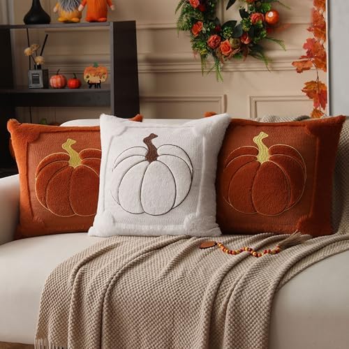 Allorry Fall Pillow Covers 22x22 2 Pack Cream White Pumpkin Home Decor 010E