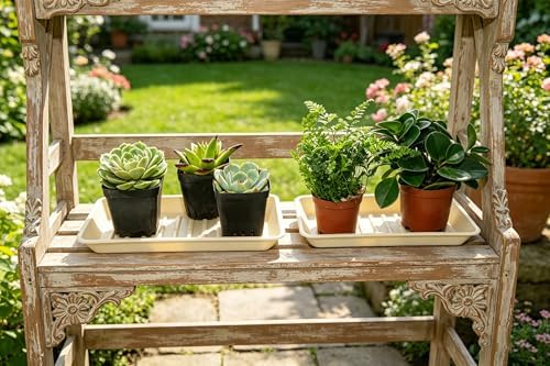 2 Pack Plastic Plant Tray Saucer Rectangular 20 21 Inch, Planter Trays Saucers Indoor Outdoor, Water Drip Tray for Flower Pot, Windowsill, 8.5 x 20.6 Inches, Beige