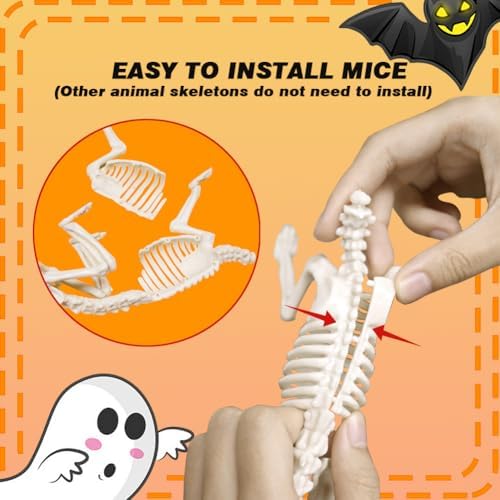 6PCS Halloween Animals Skeleton with Bendable Tails and Movable Jaws
