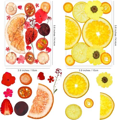 70PCS+ Nature Dried Pressed Fruits Flowers for Resin Mold, Real Dry Pressing Floral Set for DIY Jewelry Making Nail Card Scrapbook Art Craft Fruits Style