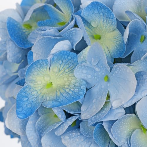 Hollyone Real Touch Hydrangea with Glass Vase Light Blue Full Latex Hydrangeas Artificial Flowers in Vase Lifelike Bouquets Floral Arrangements with Faux Water for Wedding Table Centerpiece Home Decor