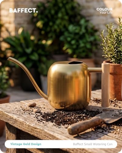 Baffect Watering Can Indoor Plants with Long Spout, 1.2L / 41oz (Glod)