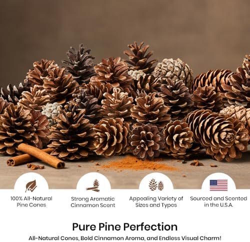 Pine Cones | 100 Small Pine Cones 3/4"-1 1/4" | 6 oz Mini Black Spruce Pine Cones | Pine Cone Filler