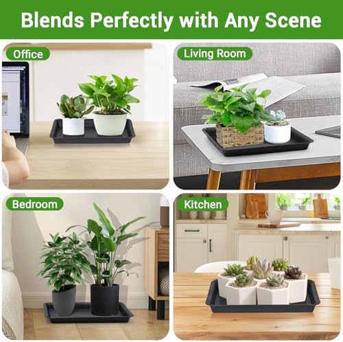 GREANER 11 Inch Rectangular Plant Tray, 6 Packs Pant Pot Trays, Indoor Plant Trays for Pots, Plant Drip Tray Outdoors, Heavy Duty Square Boot Tray for Window Sills and Window Shelf