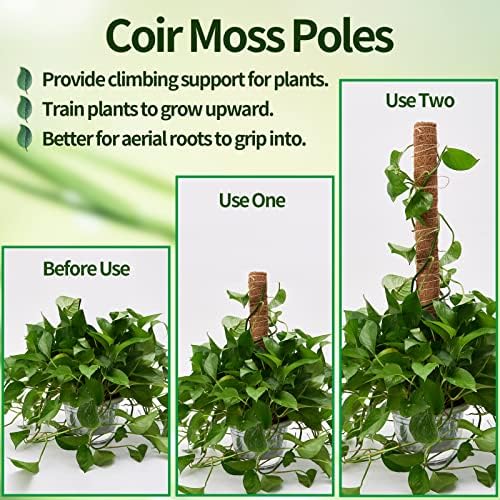 Eibikdi Moss Pole 68in for Plants Monstera 6pcs