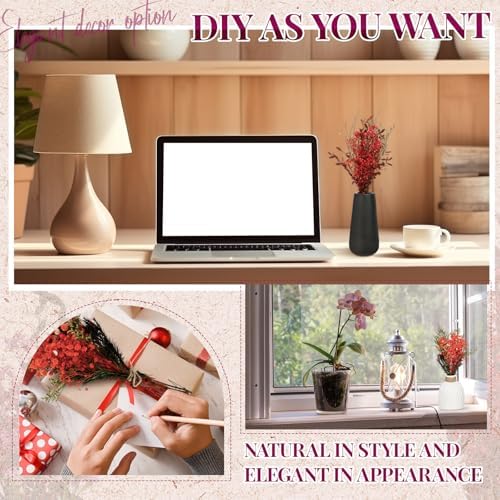 Layhit 4 Pack Large Size Boho Dried Flowers 15-17 Inch, Babysbreath