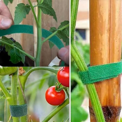 Christmas Garland Ties - 12" Multifunction Holiday Plant Cable Ties Adjustable Reusable Nylon Garden Plant Cable Strap for Xmas Tree Stairway Decoration Present Wrapping (50pcs Green)