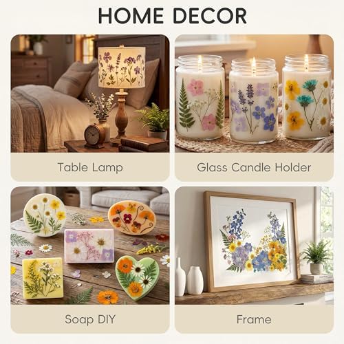 LUXEEASE 4 Color 110P Long Stem Dried Pressed Flowers