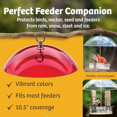 Birds Choice Red Bird Feeder Dome | 10.5" Rain Guard Cover for Hanging Bird Feeders | Outdoor Weather Guard to Help Keep Seed Dry