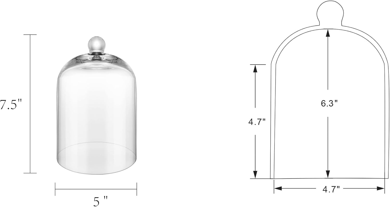 7.5" Tall Handmade Glass Cloche, Thick & Sturdy, Dia 5"xH 7.5", For Terrarium, Plants, Trinkets, Cakes, Figurines, LED
