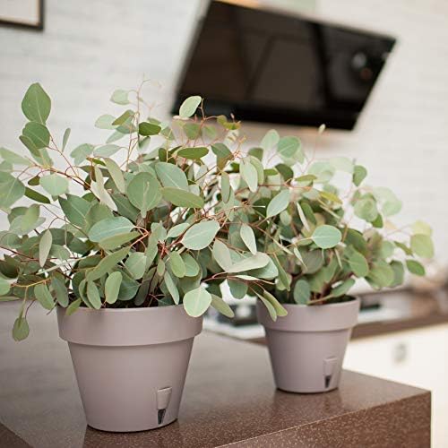 Pack of 3 - Self Watering Planter - Height 9.2 inches - Flower Pot with Bottom Watering Level Indicator for All House