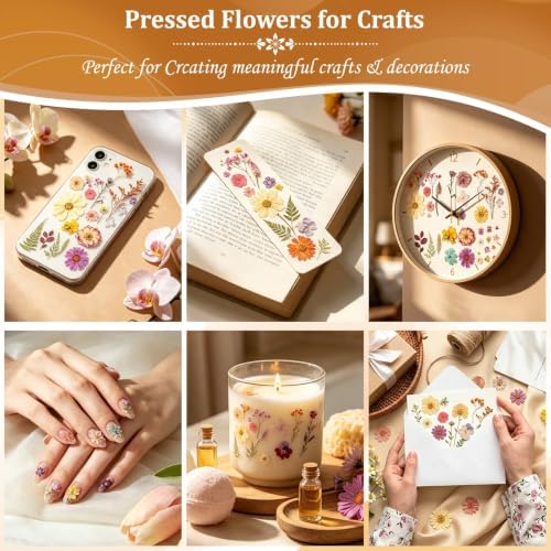 Evatage 180 Pcs Real Dried Pressed Flowers for Resin Crafts