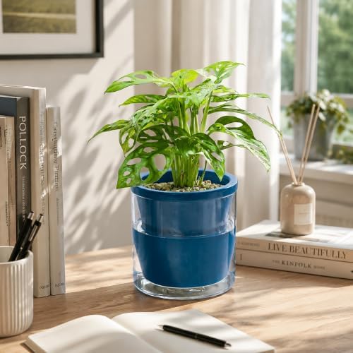 D'vine Dev Self-Watering Blue Terracotta Planter, 6 in, 2-Pack, 37-Y-B-4