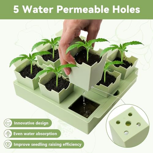 2 Pack Seed Starter Trays, Lift-Out Handles, Easy Transplanting