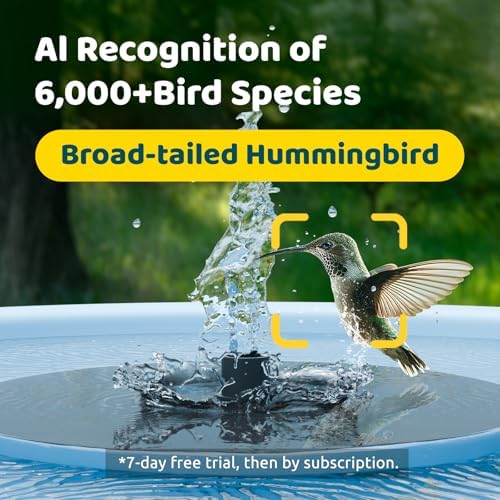 Birdfy Smart Bird Bath with Camera Solar Powered & Fountain & Stand, Dual-Lens Camera for Wildbird Watching, Auto Capture Bird Videos & Motion Detection - AI by Subscription