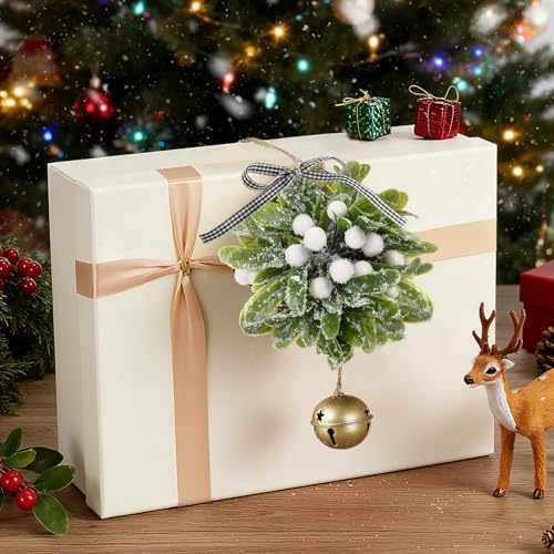 Forwe Mistletoe Christmas Decor Artificial Mistletoe Kissing Ball Ornament with Bell Bow Berries Hanging Christmas Decorations for Doorway Arch Light Fixture Xmas Tree (White)