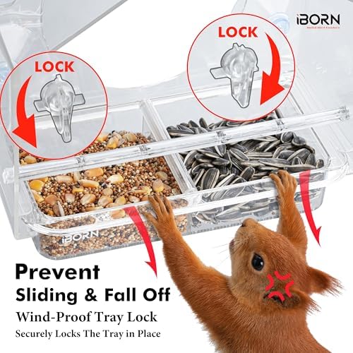 Window Bird Feeder, Wind-Proof Tray Lock, Chew-Resistant PC, Clear 1 PK