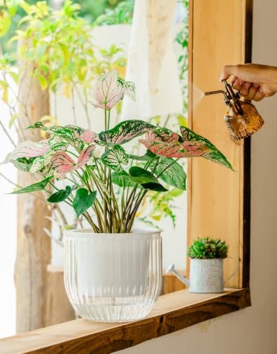 Melphoe Self Watering Pots for Indoor Plants Planter, 8.3 Inch 2 Pack Planters Self Watering Plant Pots for Flower, Houseplants, Succulent, African Violets and Cactus with Drainage