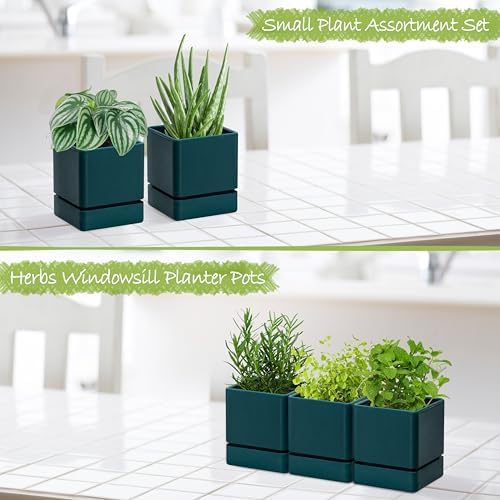 D'vine Dev 3-Pack Plastic Herb Planter Pots, 4 in, Green, 76-Y-C-1