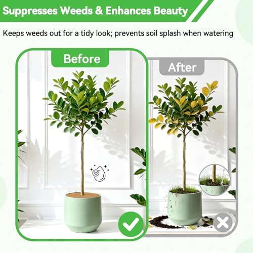 ZeeDix 11.8 Inch Coconut Fiber Tree Ring Mulch Mat, 3 Pack Tree Mulch Ring
