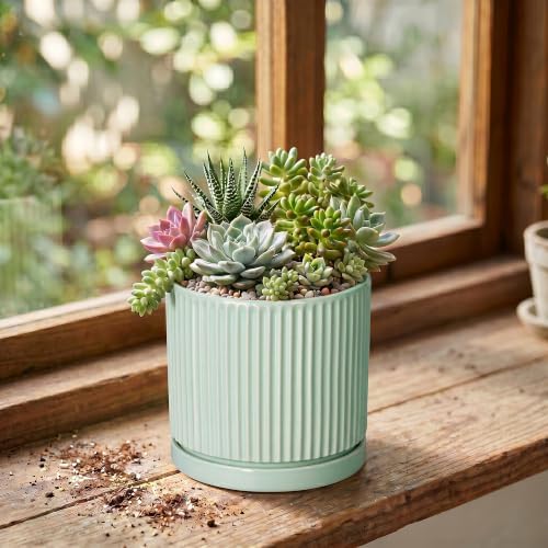 Ceramic Plant Pots, 4 Inch Pots for Plants with Tray, Mint Green