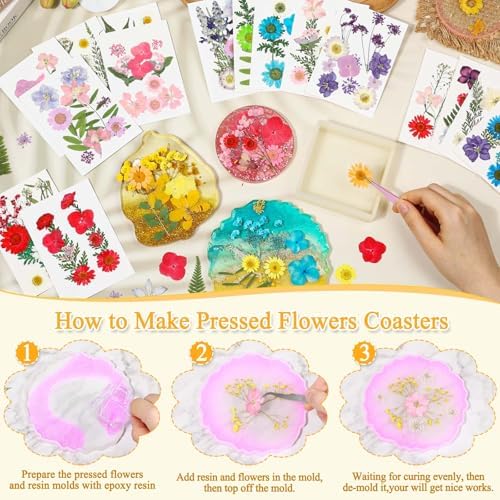 Evatage 200 Pcs Small Dried Pressed Flowers for Resin Crafts