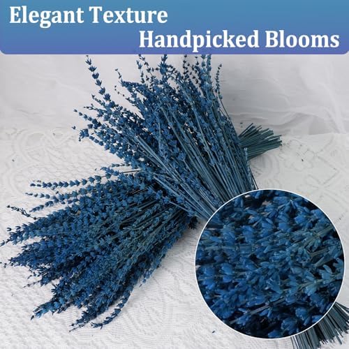 350 Stems Dried Blue Lavender Flowers for Vase Home Wedding DIY Decor
