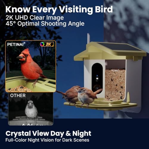 Smart Bird Feeder with 2K HD Camera -Solar Powered,AI Identify Bird Species