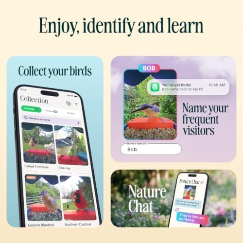 Birdbuddy Pro Solar Smart Bird Feeder with Camera, AI Bird ID, 2K Video