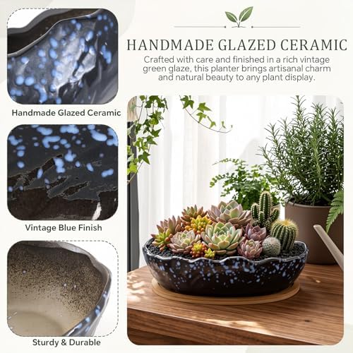 10 Inch Oval Ceramic Shallow Succulent Planter with Tray, Starry Blue