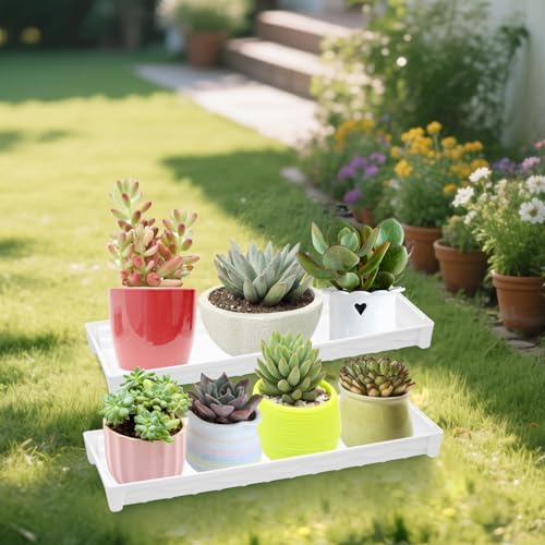 6 PCS Plastic Plant Tray Saucer, Rectangular Window Sill Plant Tray for Indoors Outdoor Flower Pots for Window Shelf, Clear Thick Plastic Plant Trays for Succulent Pot Planter, Square Plant Saucers