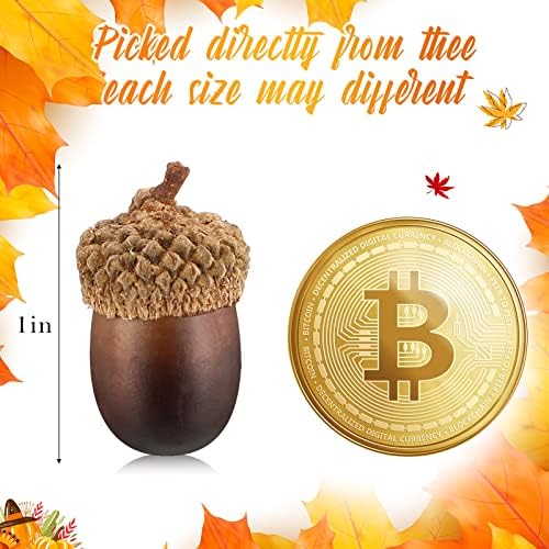 Syhood 300 Pieces Mini Artificial Acorn Bulk with Natural Cap, Dark Brown