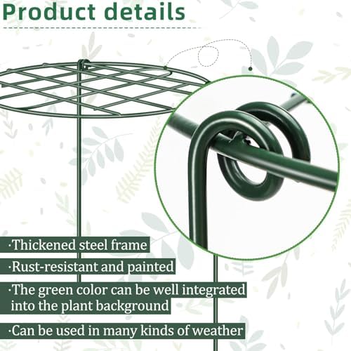 10 Pack 12 x 16 Inch Peony Cages and Supports for Outdoor Plants