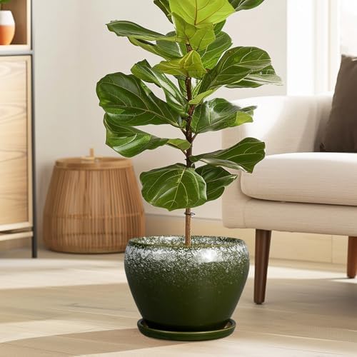 Ceramicfor 8 Inch Plant Pot - Ceramic Planter with Drainage, Dark Green