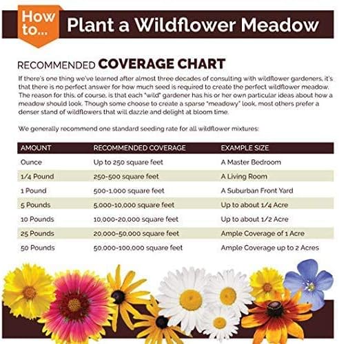 Non GMO Bulk Hummingbird/Butterfly Wildflower Seed Mix (5 lbs)