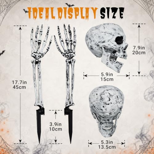3Pcs Realistic Halloween Skeleton Stakes Outdoor Decorations for Yard