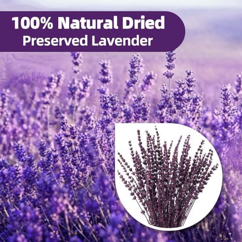 Dried Lavender Flowers, Preserved Purple Lavender Bundle, 15" -17" Natural Dried Flowers Bouquet for Wedding Vase Decor, Home Fragrance, Bathroom, Photo Props, Crafts, 70g (2.5oz)
