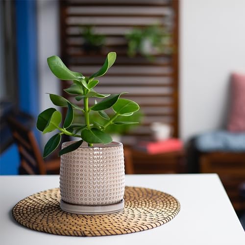 D'vine Dev Beaded Ceramic Pot with Saucer, 4 in, Light Brown, 27-C-Z-4