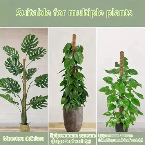 Moss Pole,47 Inch Monstera Plant Support, Upgraded 7mm Aluminum core Moss Poles for Climbing Indoor Plants DIY, Coco Coir Plant Pole Moss Plant Stick Support Stake Kit for Potted Plants Pothos