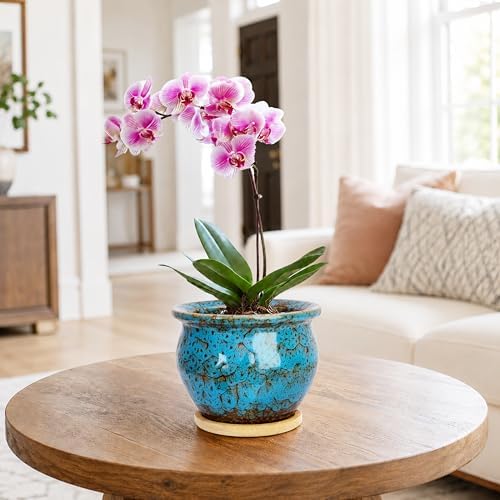 Plant Pots, 4.5 Inch Ceramic Pots for Plant with Drainage, Succulent Pots
