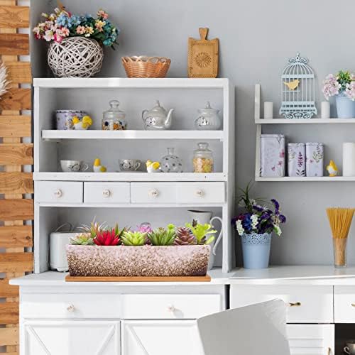 Succulent Pots - 12.1 Inch Large Succulent Planters Pots with Drainage Tray
