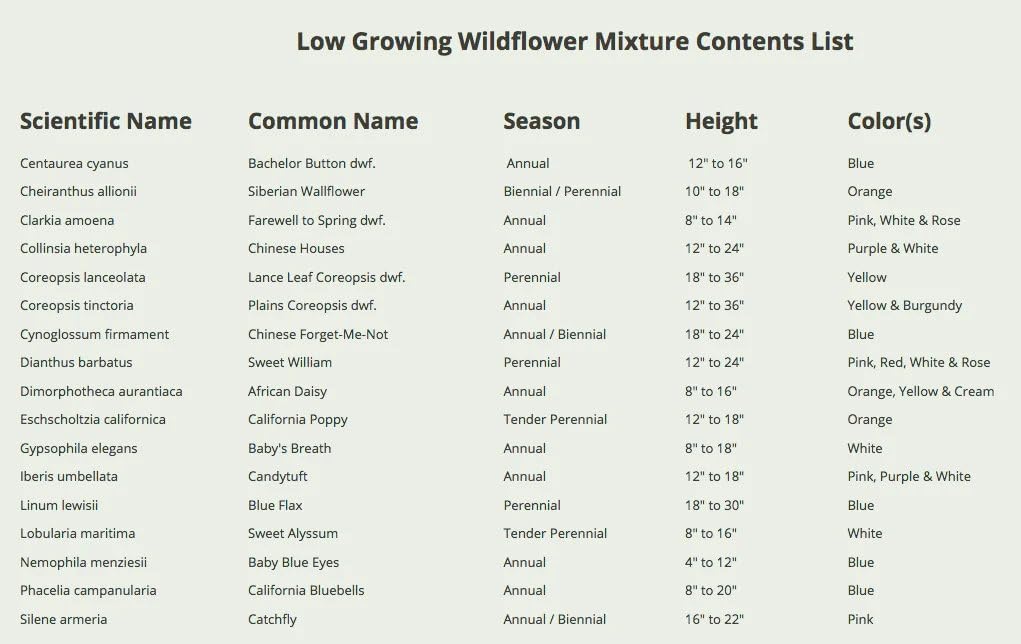 Seed Needs Low Growing Wildflower Seed Mix 5 Bulk Packs (1 Ounce Each)