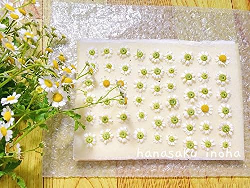 Flower Press Refill Paper Replacement Blotters Paper Refill Lining Paper Blotter Paper Refill (60pcs 11x9 inch)