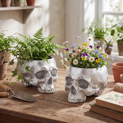 2 Pack Halloween Skull Planter, Silver, Modern