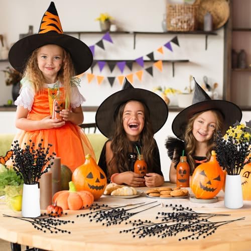 Whaline 12Pcs Halloween Artificial Berry Stem Branches Black Fake Berry Twigs for Indoor Outdoor Home Party DIY Crafts Supplies