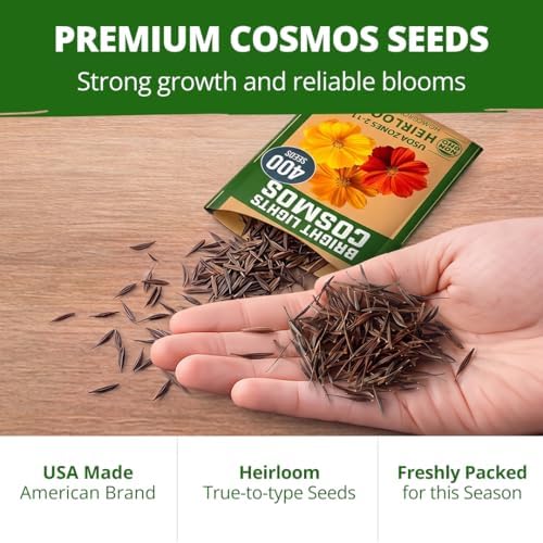 HOME GROWN Cosmos Bright Lights Mix Seeds – 400 Cosmos Sulphureus for Planting Spring 2026, Refined Wildflower Herb Seed Mix, Easy Grow Outdoor Flower Seeds for Gardens