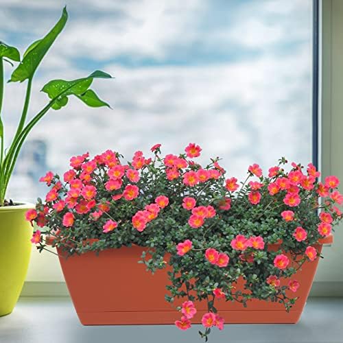 8pcs Window Box Planter,Rectangle Plastic Vegetable Flower Planters Boxes